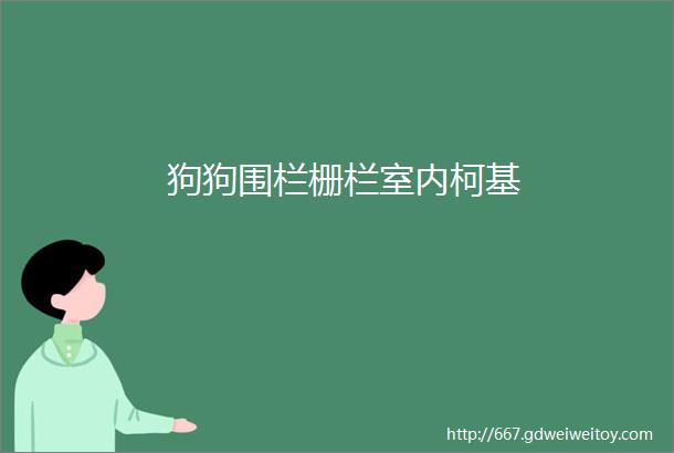 狗狗围栏栅栏室内柯基